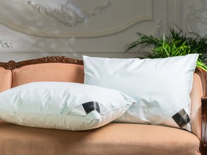 Подушка Trois Couronnes Cryo Night Pillow 386